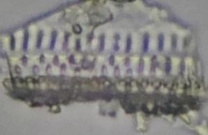 Mảnh mạch mạng